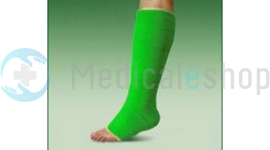 TOMATO VEGSZ LAS GIPSZ visual data 5